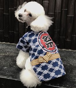 ペット用　オリジナル祭半纏