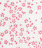 手拭　桜花（白／さくら）thumb3